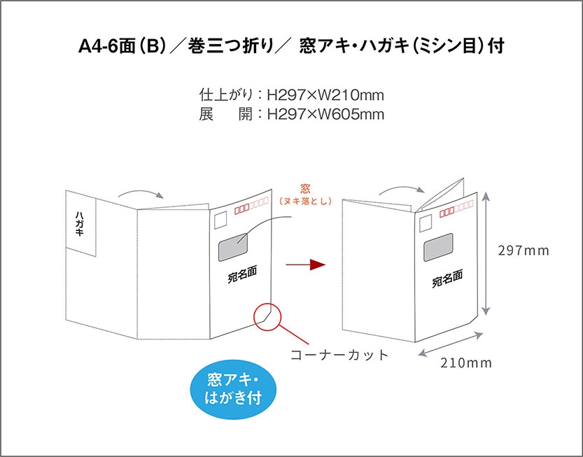 A4-6面（Bタイプ）／1,000部